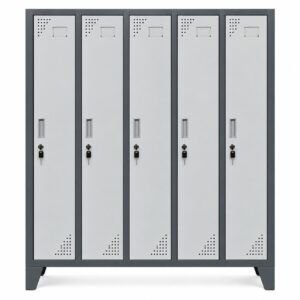 Locker Metálico, 5 Cuerpos, 5 Puertas L500-1