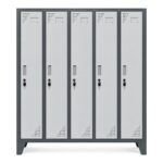 Locker metálico L500-1 de 5 puertas